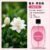 2. Gardenia oil