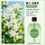3. Jasmine oil
